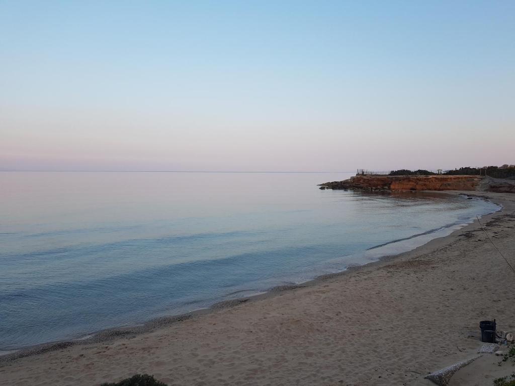 Villa d'Irene-near athens airport , 200 meters from the beach davis photo 2