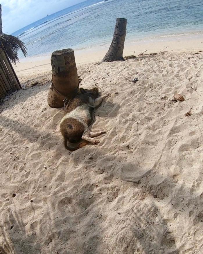 Play to Live San Blas photo 2