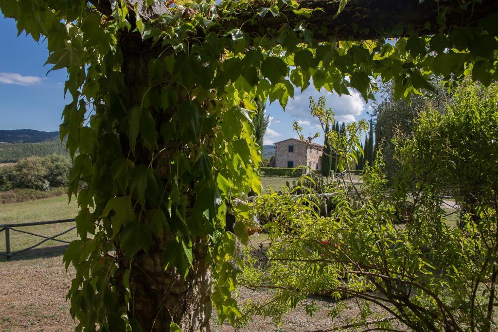 Villa Lavanda photo 4