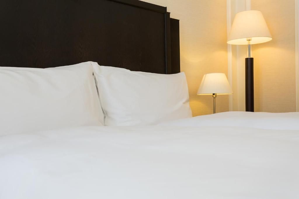 Двухместный (Двухместный номер эконом-класса с 1 кроватью), Euler Hotel Basel