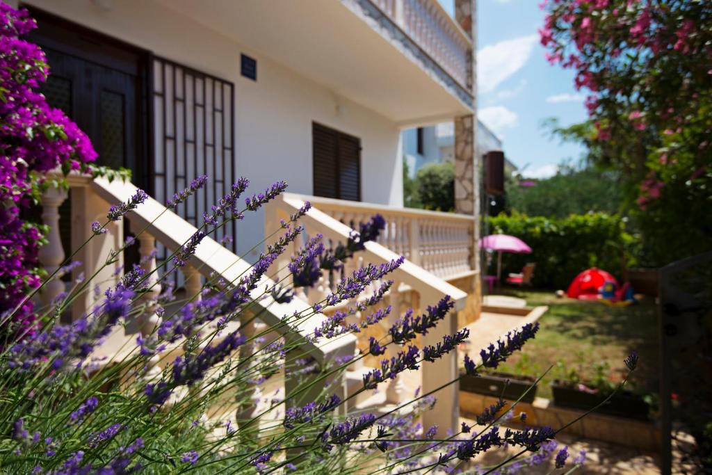 Apartments Petrčane Welcome photo 3