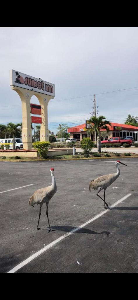 Sunset Inn- Fort Pierce, FL photo 4