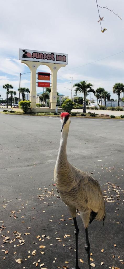 Sunset Inn- Fort Pierce, FL photo 3