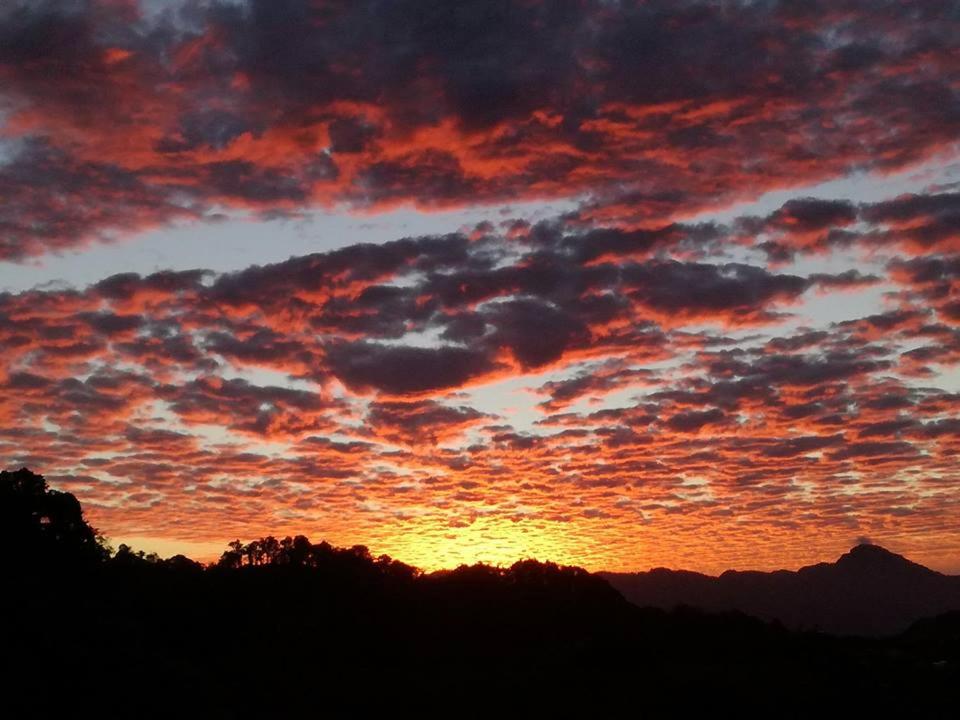 Reserva Natural Cerro Alto photo 4