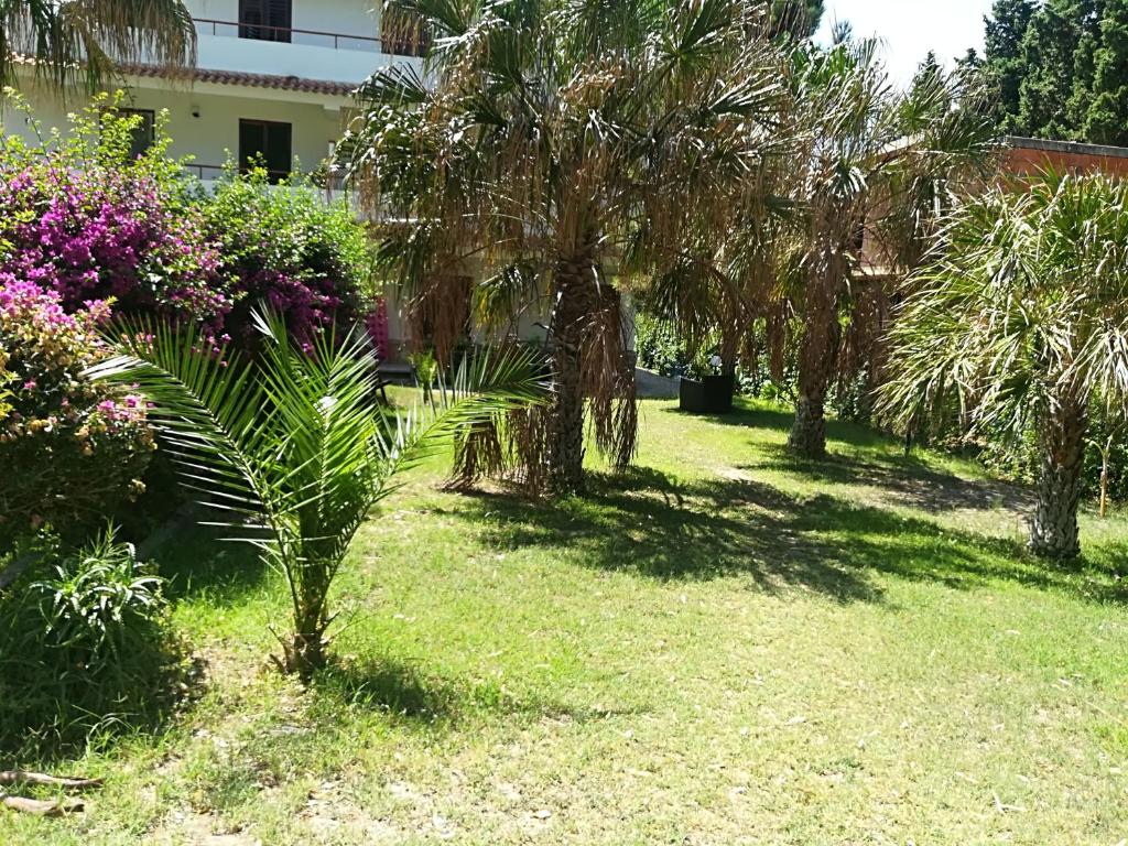 Villa Calipso photo 3