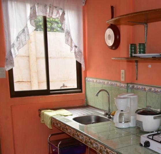 Finca Eco-amigable La Amistad photo 3