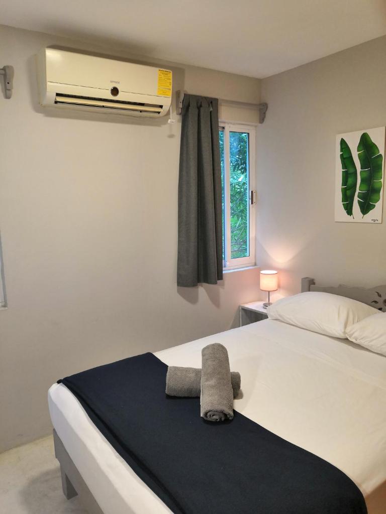 Апартаменты (Стандартные апартаменты), Condo Playatour