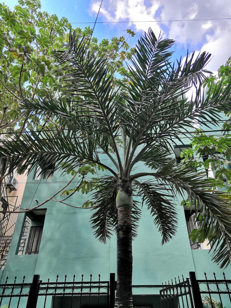 Апартаменты (Улучшенные апартаменты), Condo Playatour