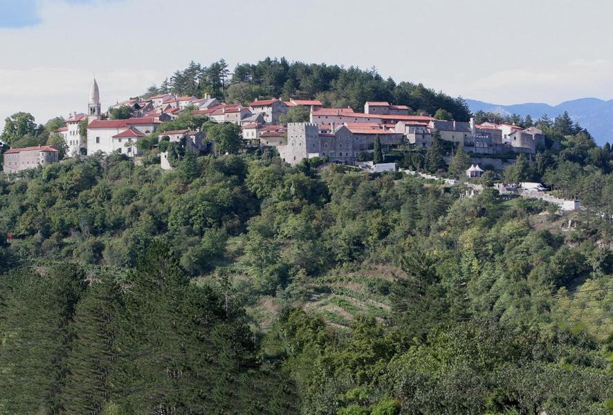 Hiša posebne Sorte photo 3