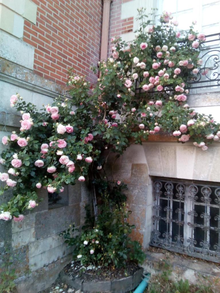 Chateau du Guérinet D'Orchaise photo 3