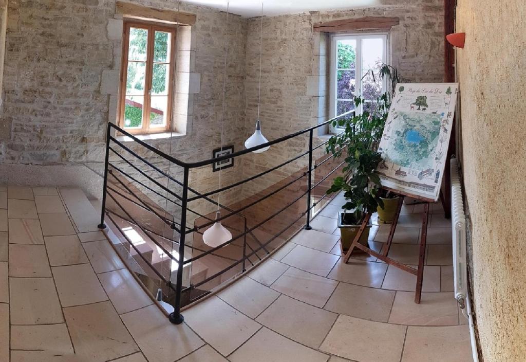 Le Gros Chêne, Lac du Der photo 2