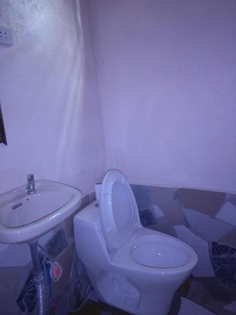 Overview Hostel photo 2