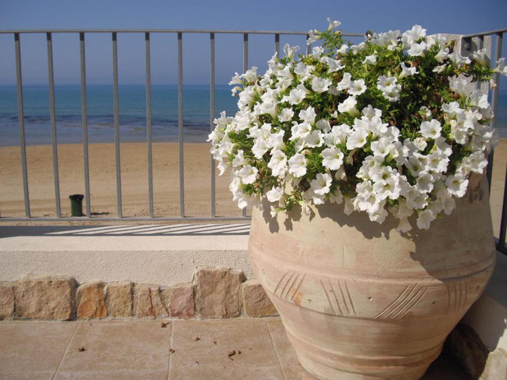 Villa Punta Piccola sul mare photo 4