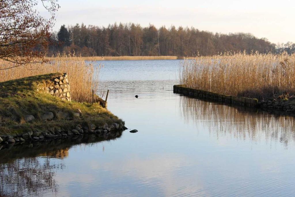 Residenz am Krakower See photo 1
