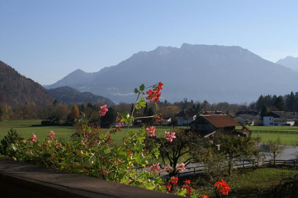 Одноместный (Одноместный номер), Alpenhof Landhotel Restaurant