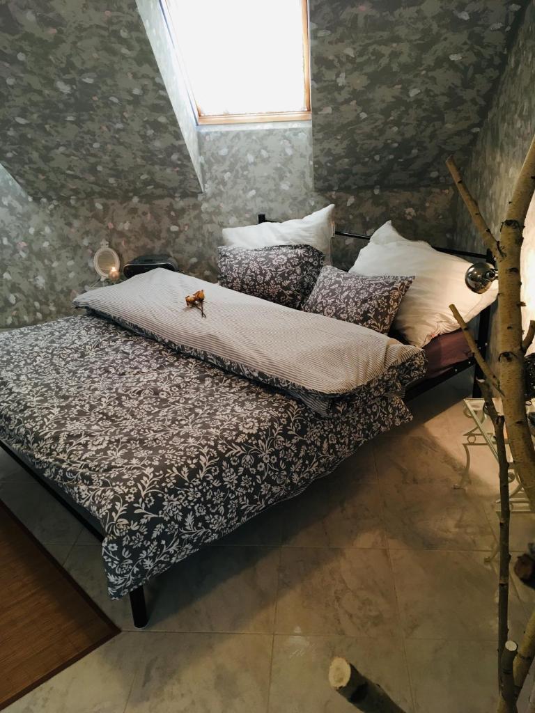 Apartmán U ZÁMECKÉ DYJE photo 4