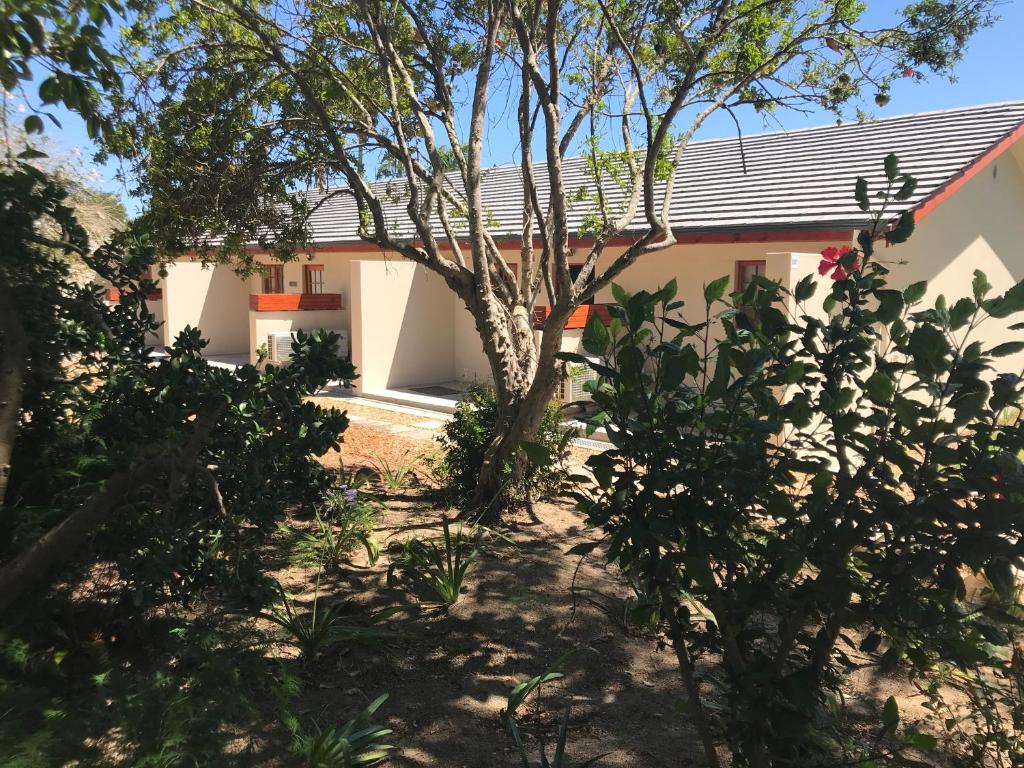 Lauradale Accommodation photo 2