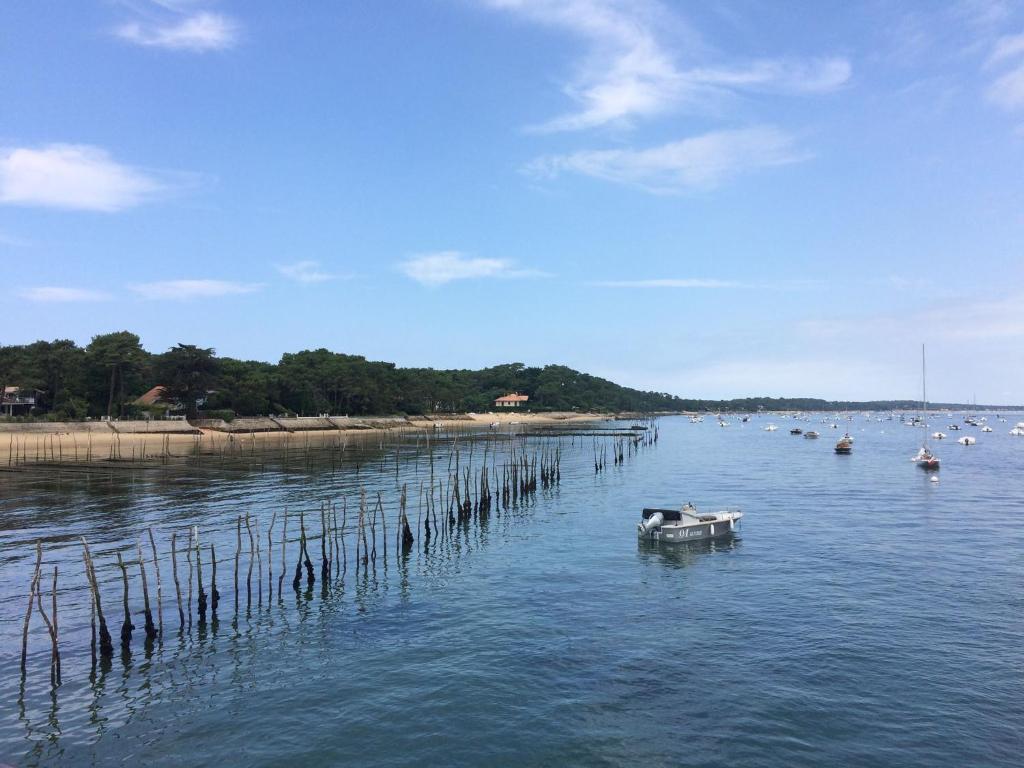 Le Pavillon Bleu - 발코니/테라스