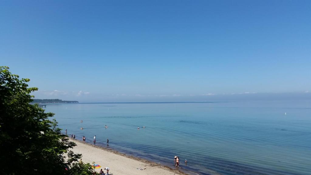 Urlaub beim Fischer - Lütt Elsing photo 4