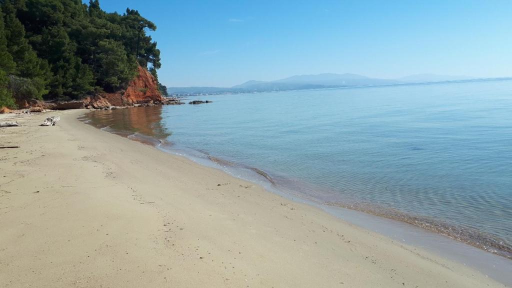 Sithonia Alekos Luxury Experience photo 4
