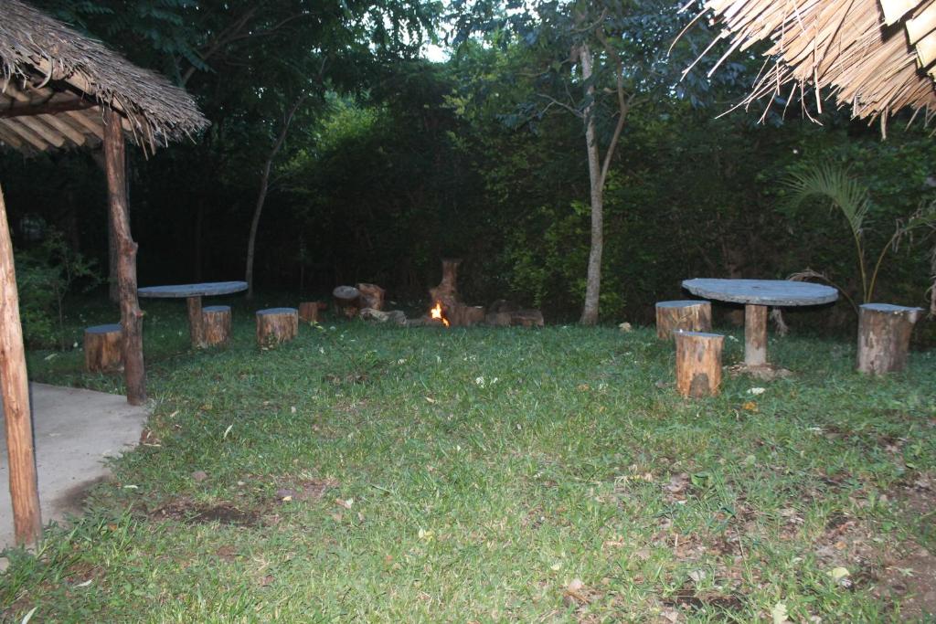 Shamba Hostel photo 3