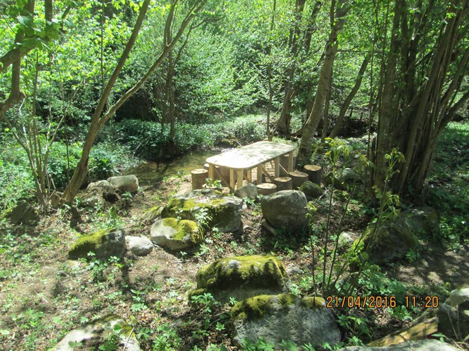 Vila Idila photo 4