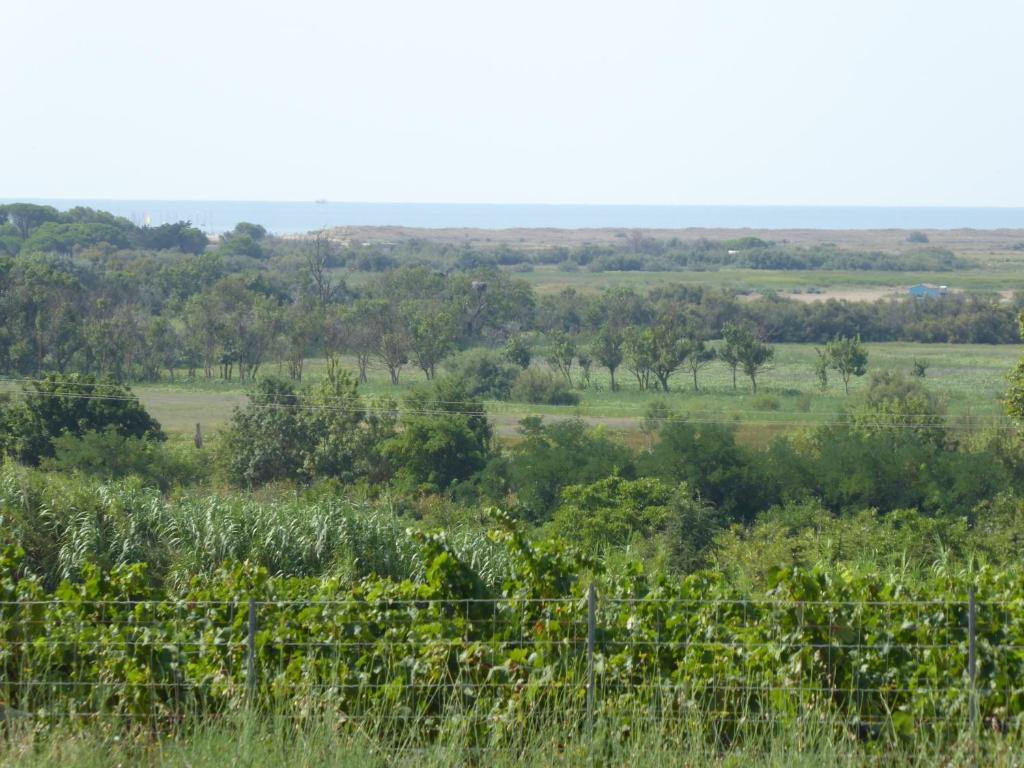 Location au calme vue sur le canal du midi et la mer photo 4