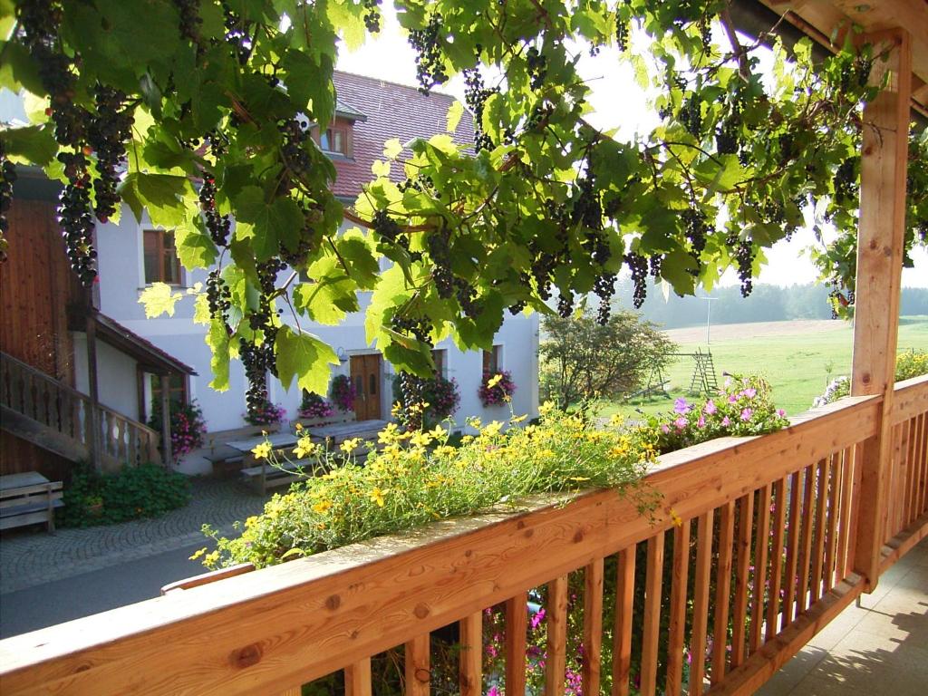 Hanauerhof photo 1