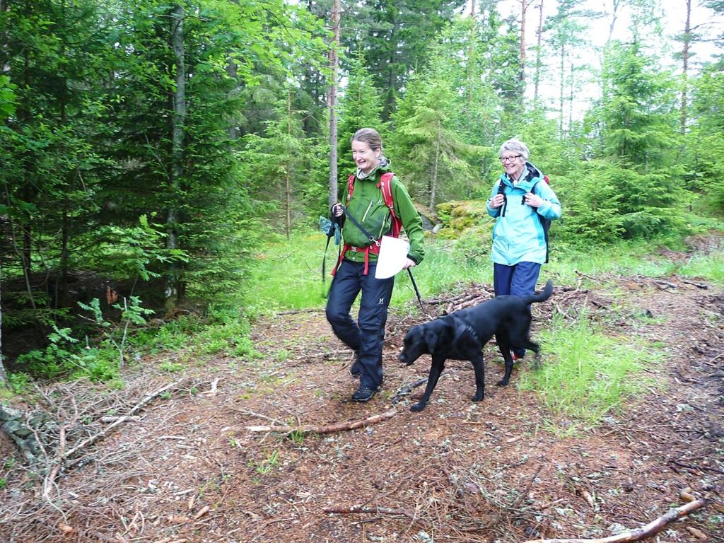 KynnefjällsNatur photo 2