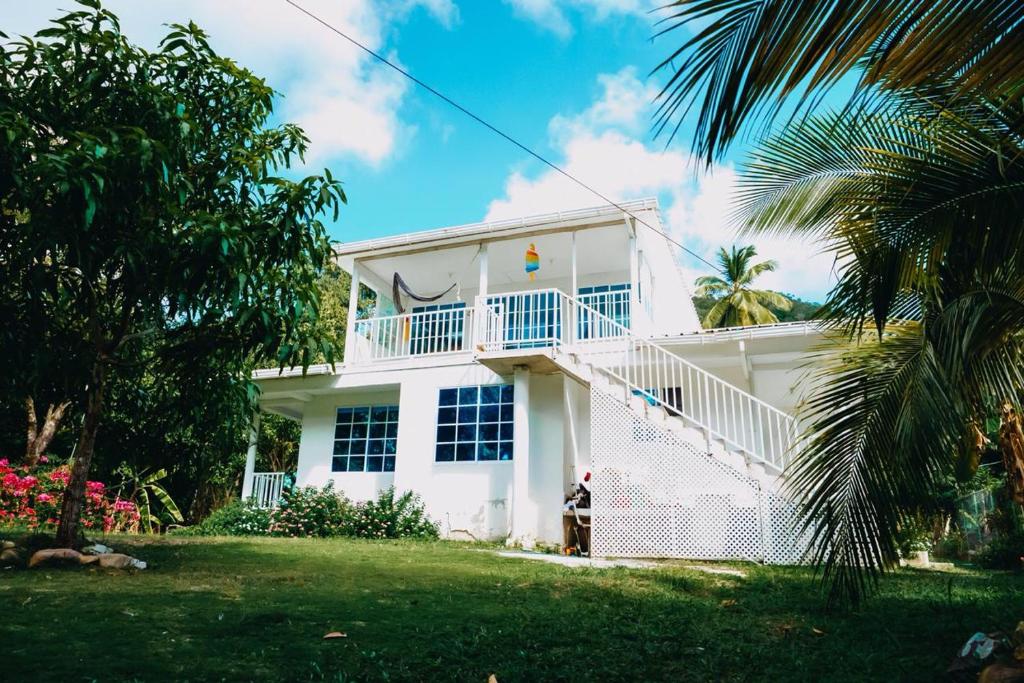 Posada Mango Tree photo 4