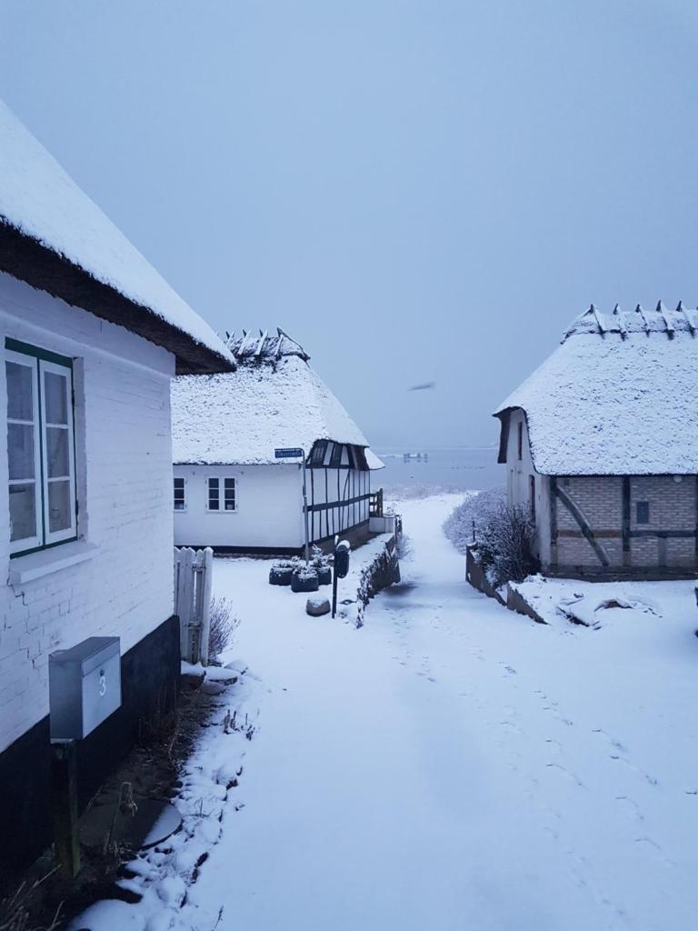 Tinyhouse Thorøhuse photo 3