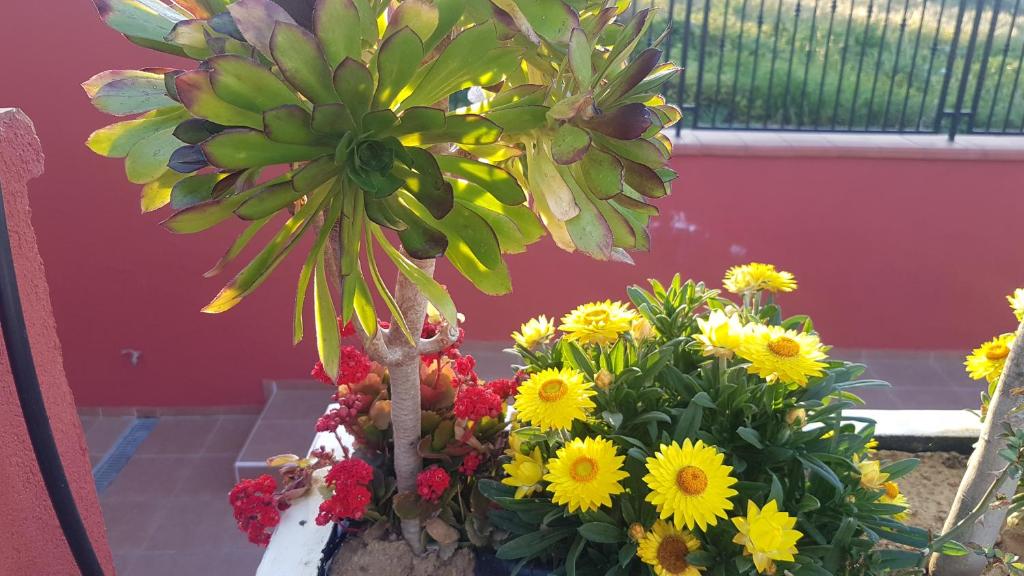 Lilium In B&B photo 3