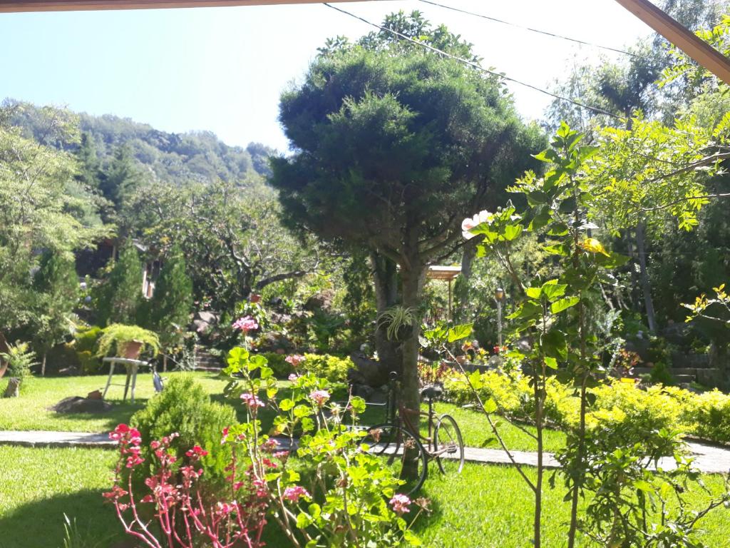 Hotel y Bungalows ecologicos Marcelo photo 2