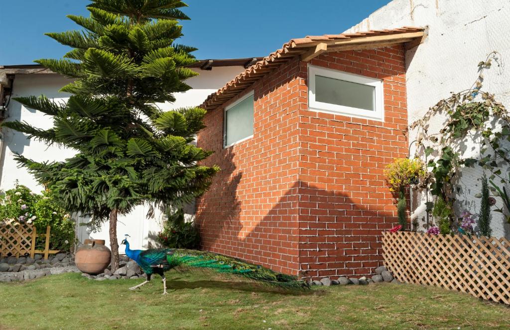 Hotel Vintage "Casa las Flores" photo 3