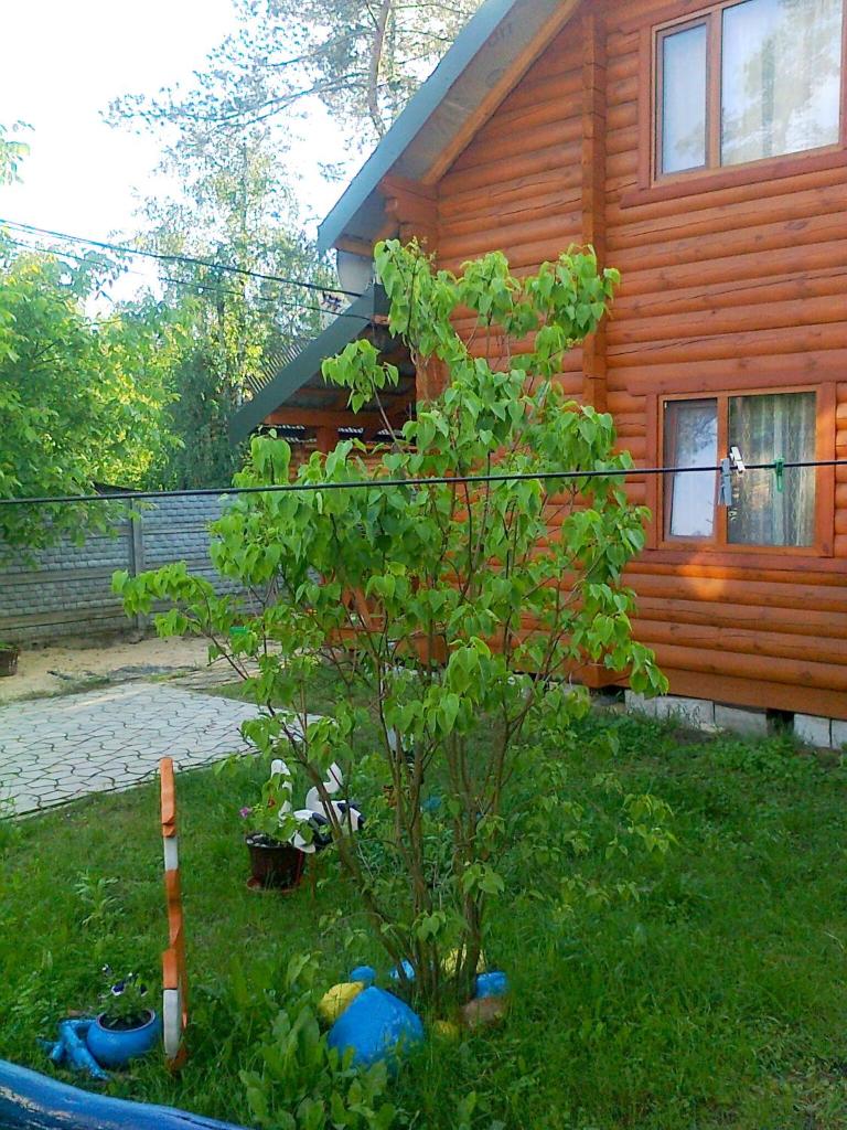 Лісова хатинка photo 2