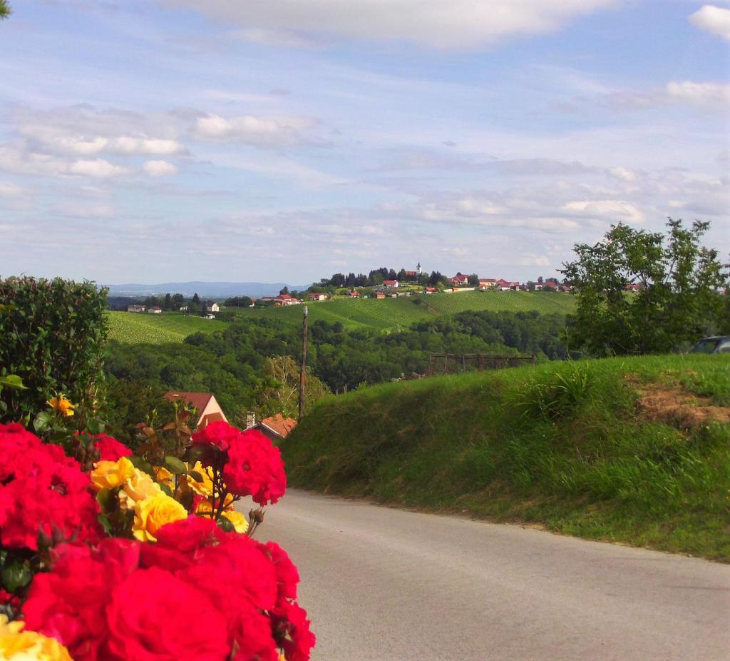 POČITNIŠKA HIŠA KOG photo 2