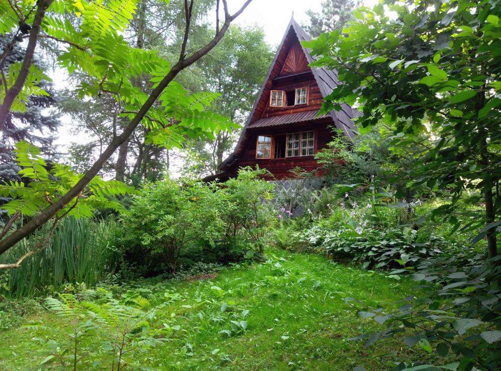 Poznaj interesujących singli - Walim: