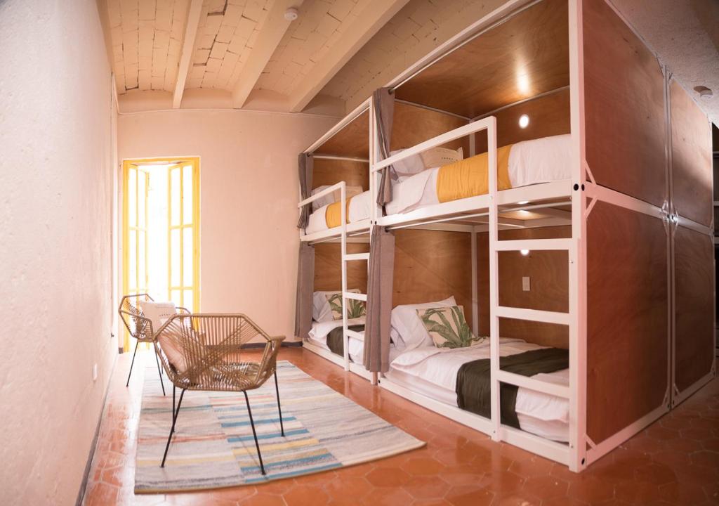 Cactus Hostel & Suites photo 3