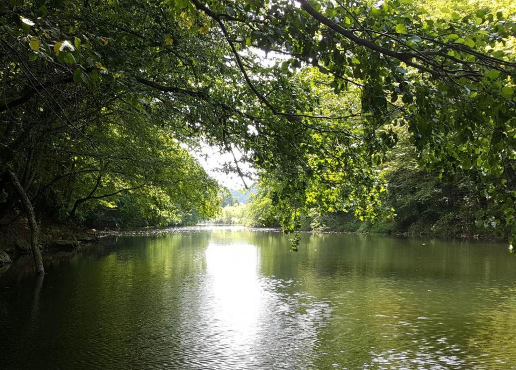 Peace of Nature *** photo 1