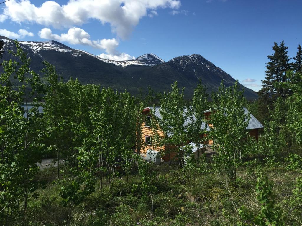 Cabins Over Crag Lake photo 4