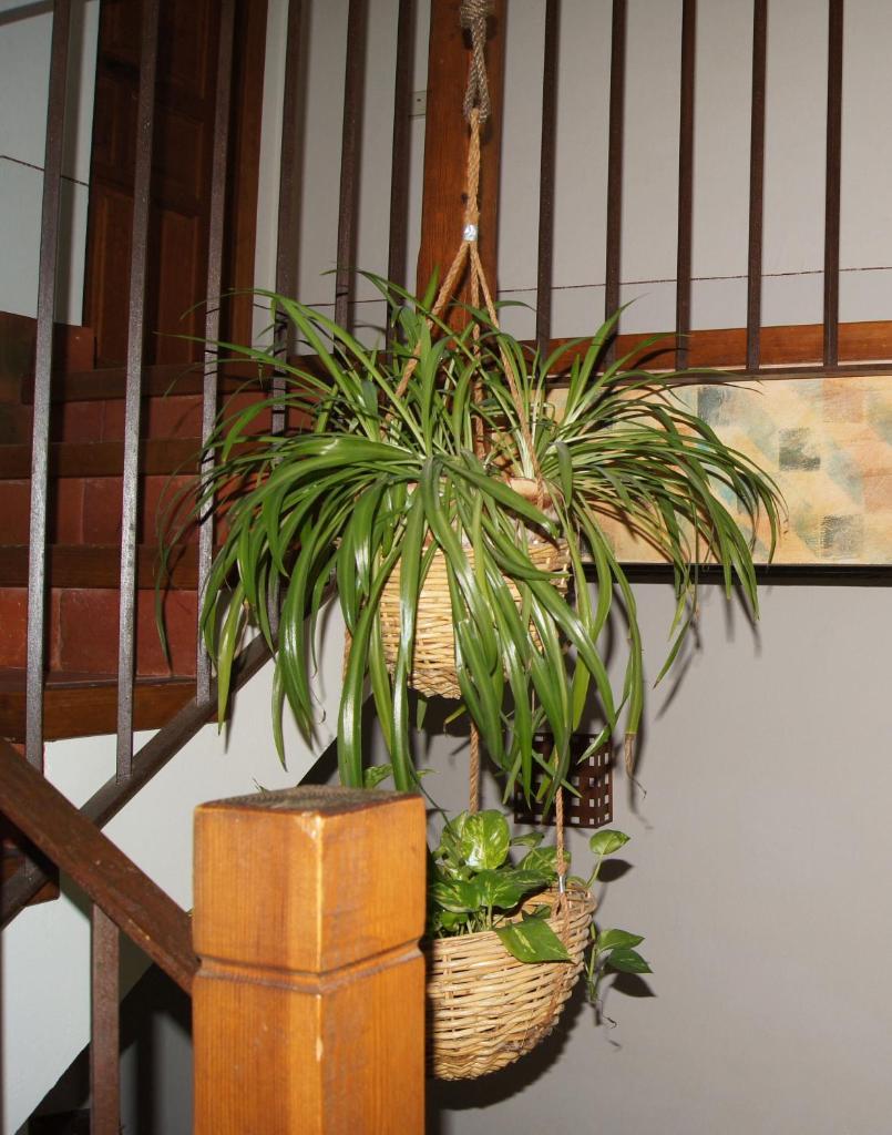 Hotel Rural El Adarve photo 3