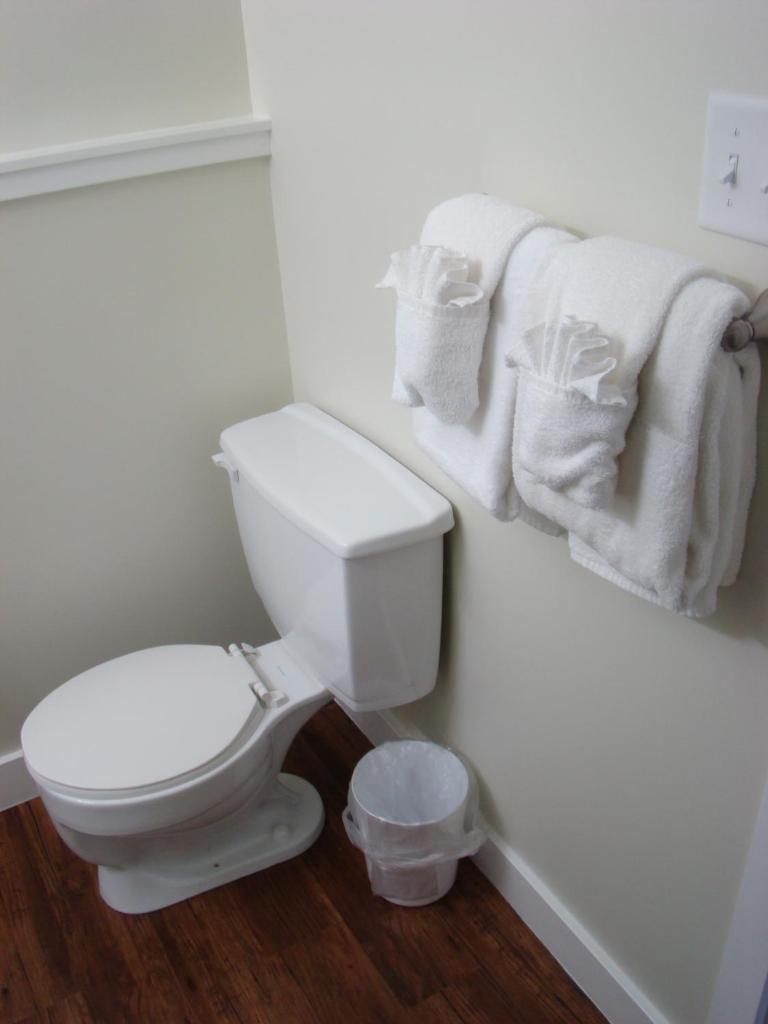Paddock Inn photo 3