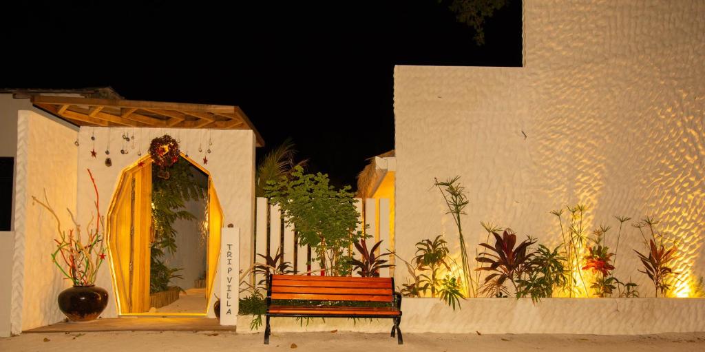 Trip Villa photo 3