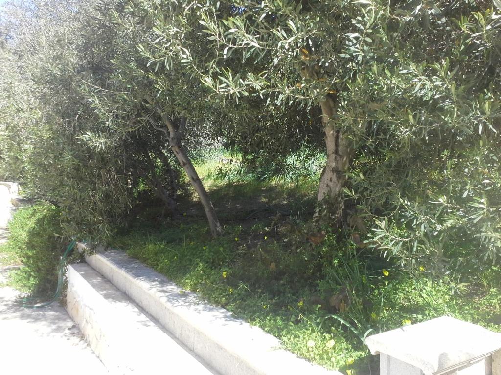 Villa Solinas photo 3