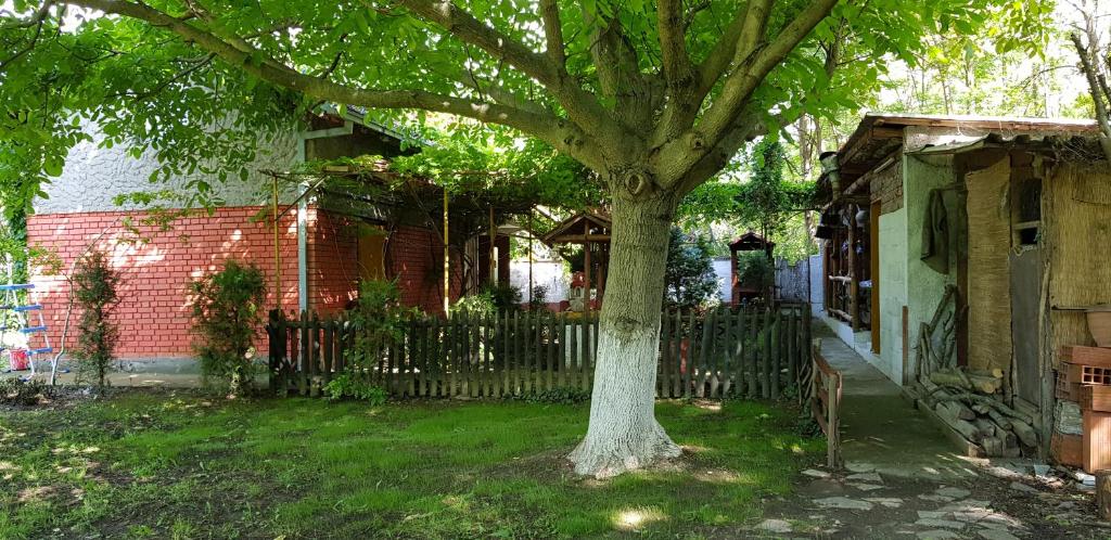 Etno villa Kurija photo 3