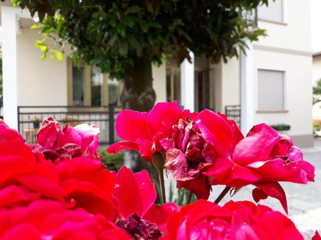 CASA ROMAN ITALIA, Center Sacile photo 2