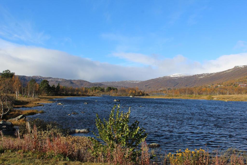 Ådnebu by Norgesbooking - cabin with 3 bedrooms photo 4