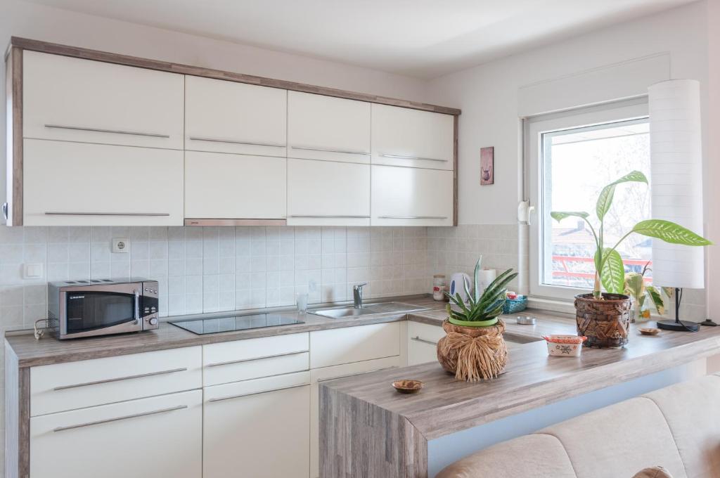 Modern and bright apartment in Ruma photo 1