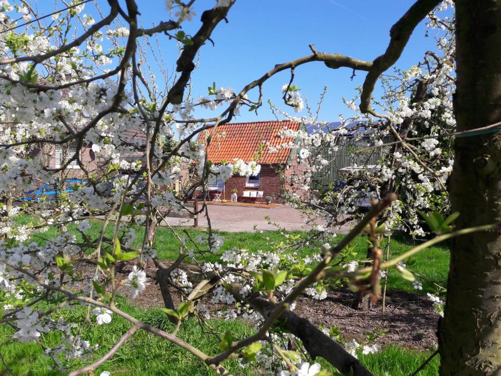 Gemütliches Häuschen im Alten Land photo 1
