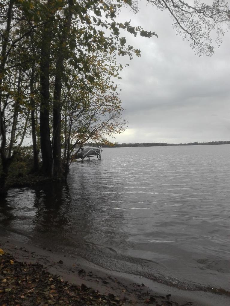 Am Schwielochsee1 photo 4
